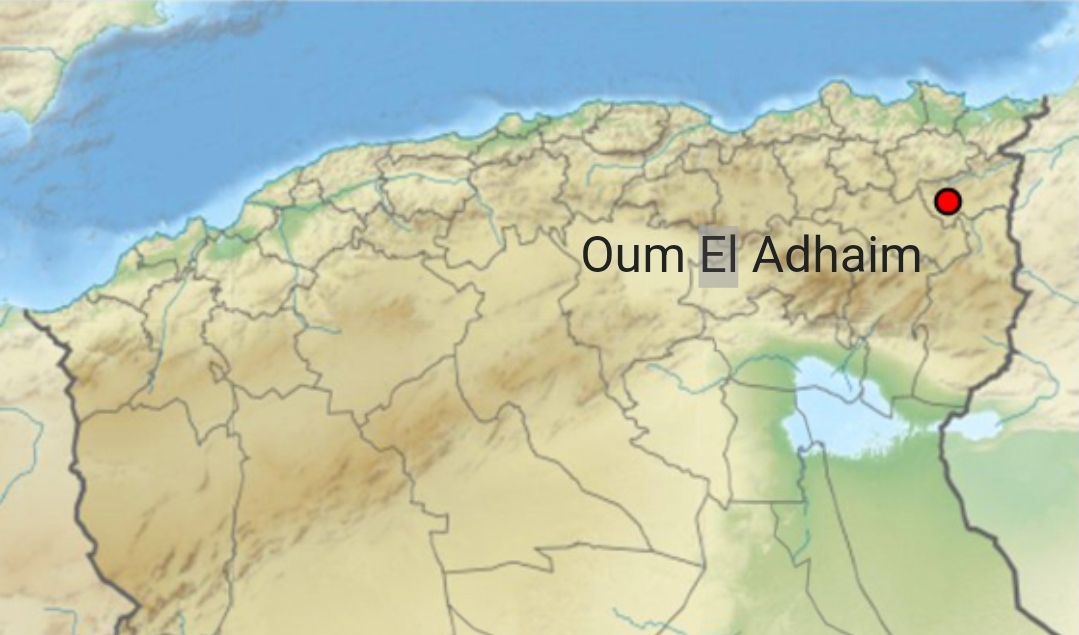 img-Souk Ahras : un policier tue 3 de ses collègues et se suicide