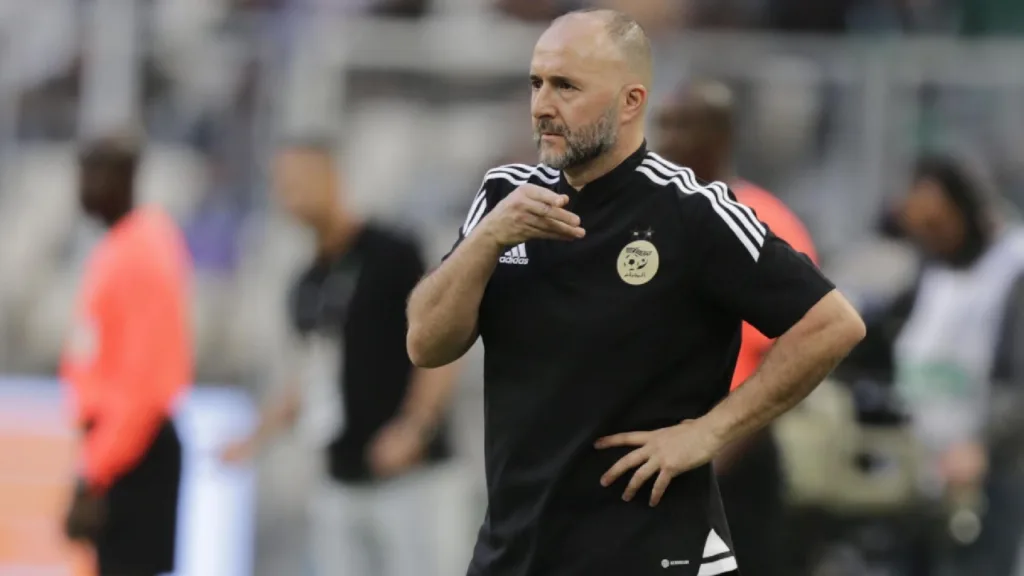img-Football (EN) : Le calcul gourmand de Djamel Belmadi