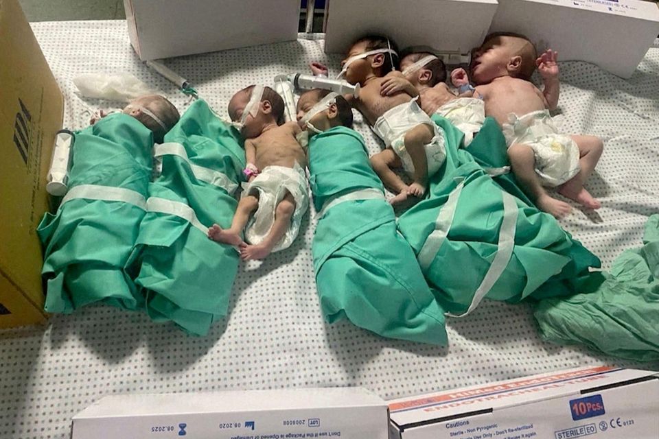 img-Hausse de la mortalité des nouveau-nés à Ghaza