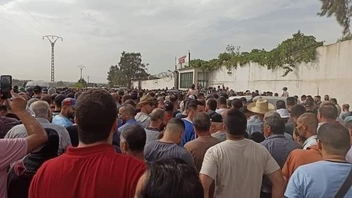 img-Énorme bousculade devant le point de vente d’ALVIAR à Birtouta