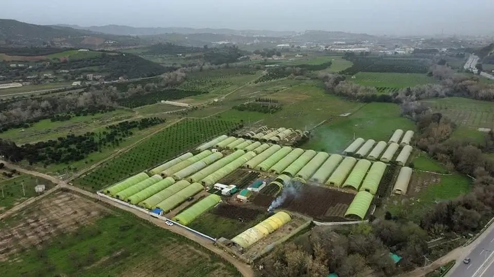 img-Lutte contre la corruption : le secteur agricole récupère 3 entreprises confisquées