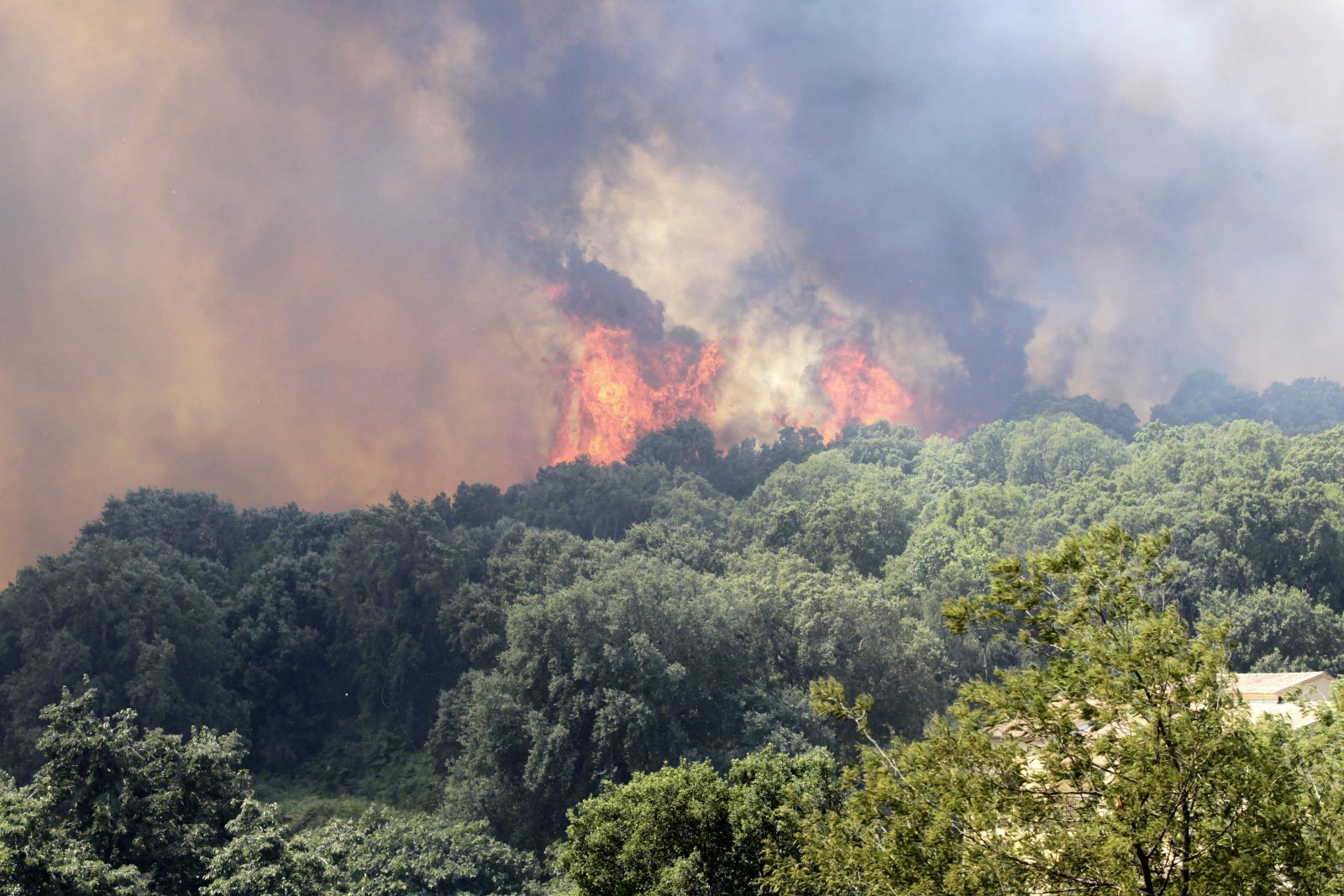 img-Incendies à Adekar et Akfadou (Bejaia) : arrestations de 2 présumés pyromanes