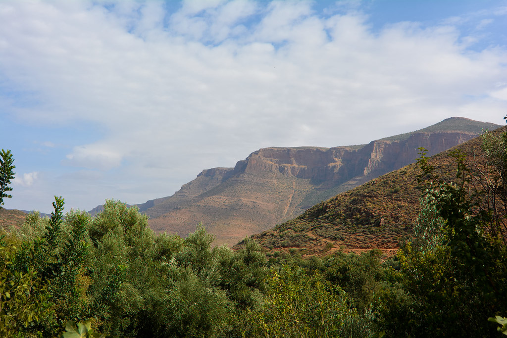 img-Terrorisme: deux bergers égorgés à Tlemcen