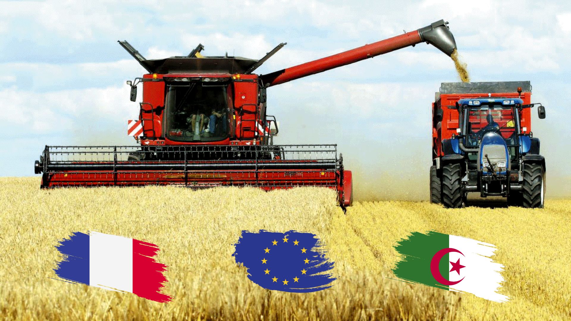 img-Tensions entre Alger et Paris : l'UE au secours des exportateurs de blé français