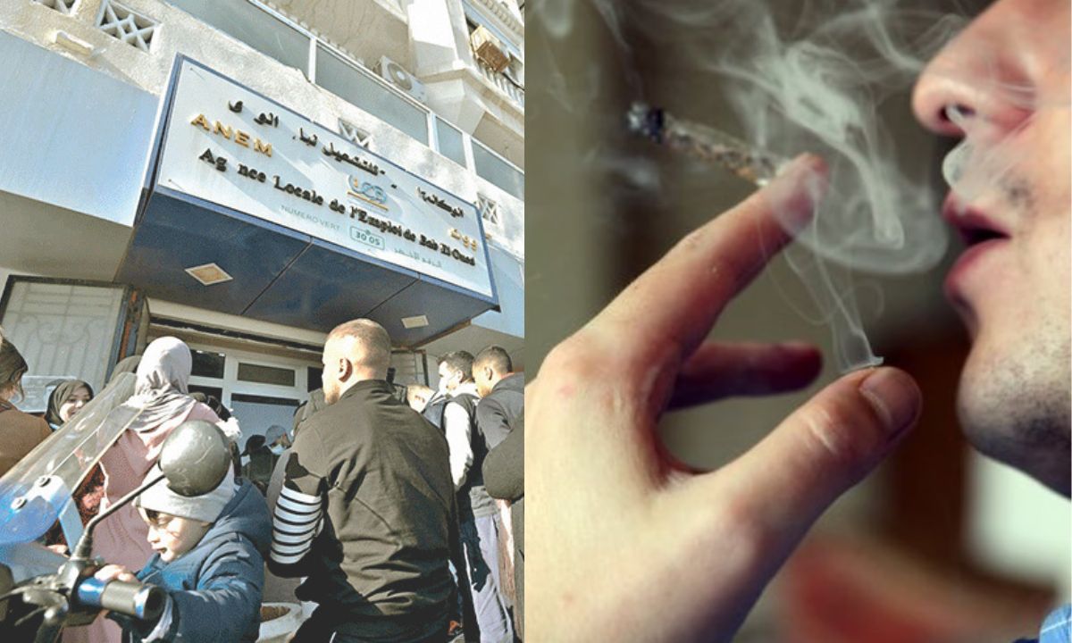 img-Le marché de l’emploi fermé aux consommateurs de drogues et de psychotropes
