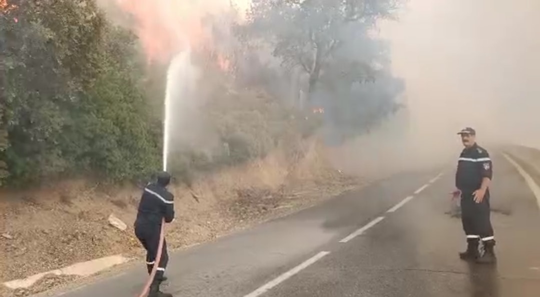 img-Incendie à Chréa (Blida): familles évacuées, gaz et électricité coupés