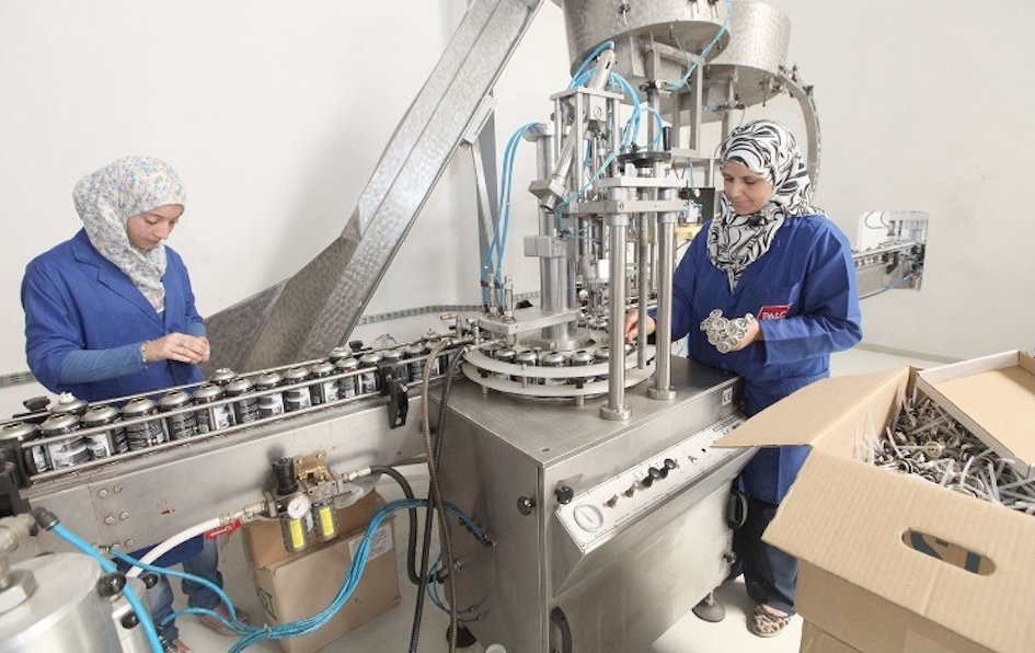 img-Femmes algériennes : un haut niveau d’éducation, un faible accès à l’emploi, selon la Banque Mondiale