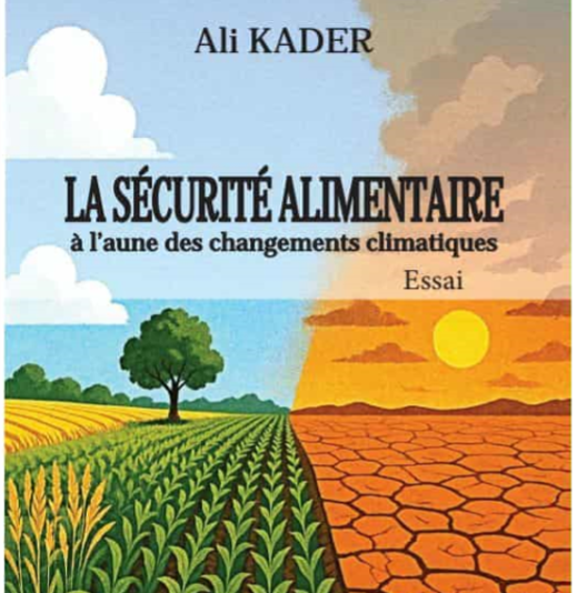 When the Sand Advances and the Water Retreats