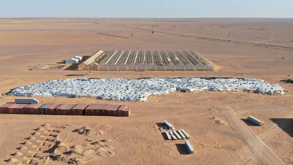 img-Agrodiv relance à Adrar le complexe agro-industriel de Sidi Moussa, ex-projet El Hamel-CTIEC