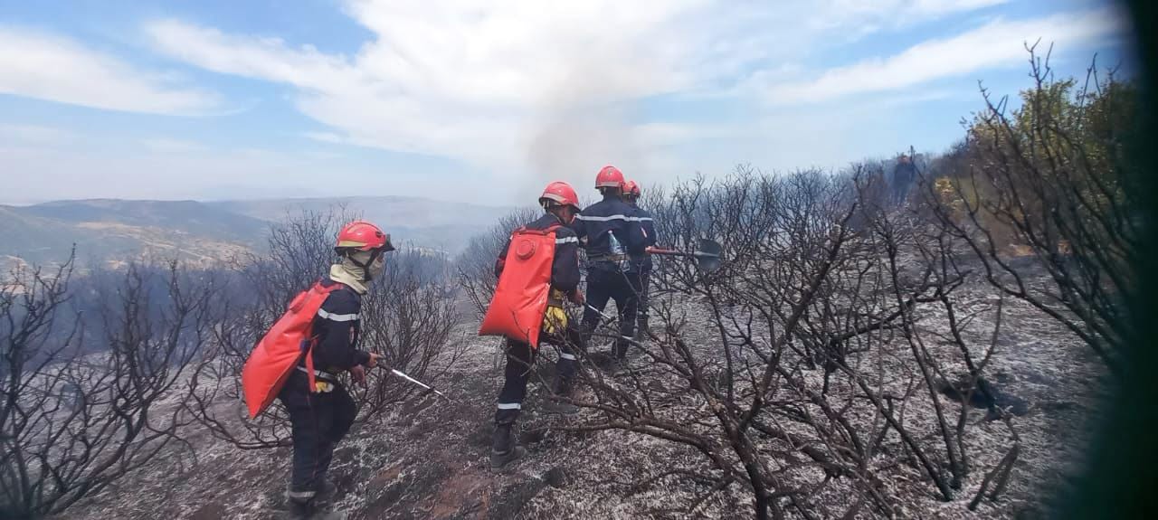 img-Algérie : 141 incendies éteints, 18 foyers encore sous surveillance