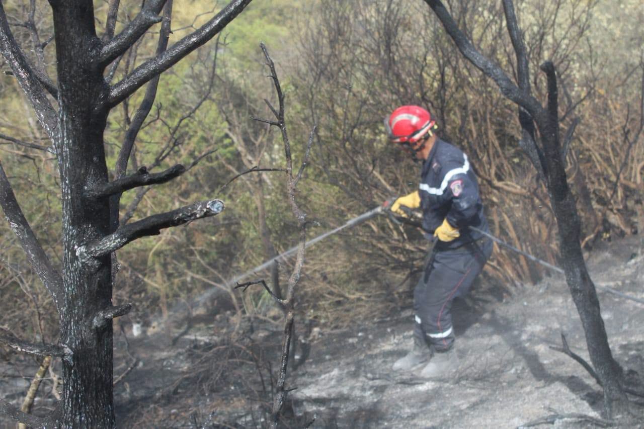 img-Algérie : six morts et 195 incendies en vingt-quatre heures sous une chaleur extrême