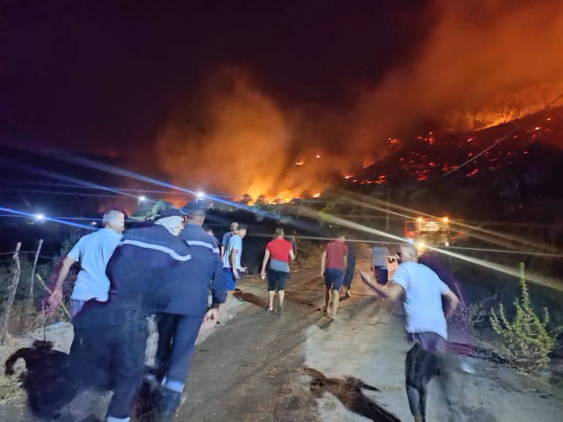 img-Incendies en Algérie : face aux flammes, les habitants prennent place sur la ligne de feu