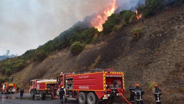 img-Incendies en Algérie : 141 000 hectares brûlés, le bilan humain reste inconnu