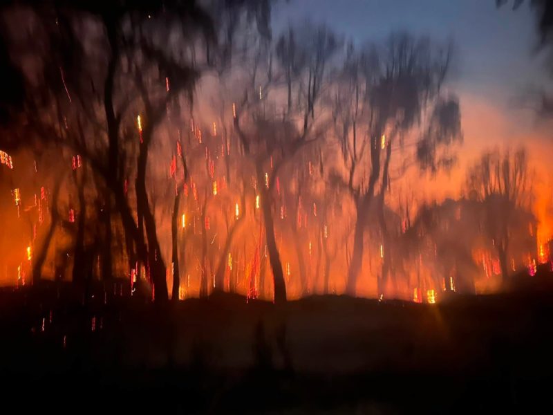 Twala - Punir l'incendiaire ne suffira pas à prévenir la catastrophe