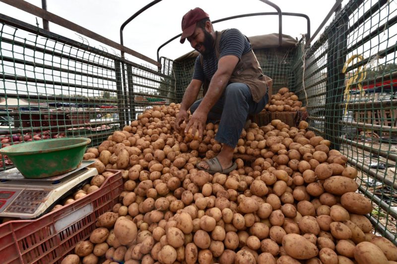 Prix alimentaires : l’Algérie renoue avec le réflexe de l’économie administrée